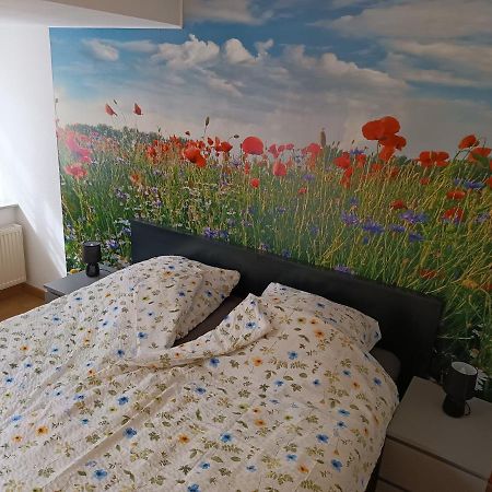 Lillie 3-4 Personen - Ferienwohnungen Wagner & Gaul Falkenauel Daleiden エクステリア 写真